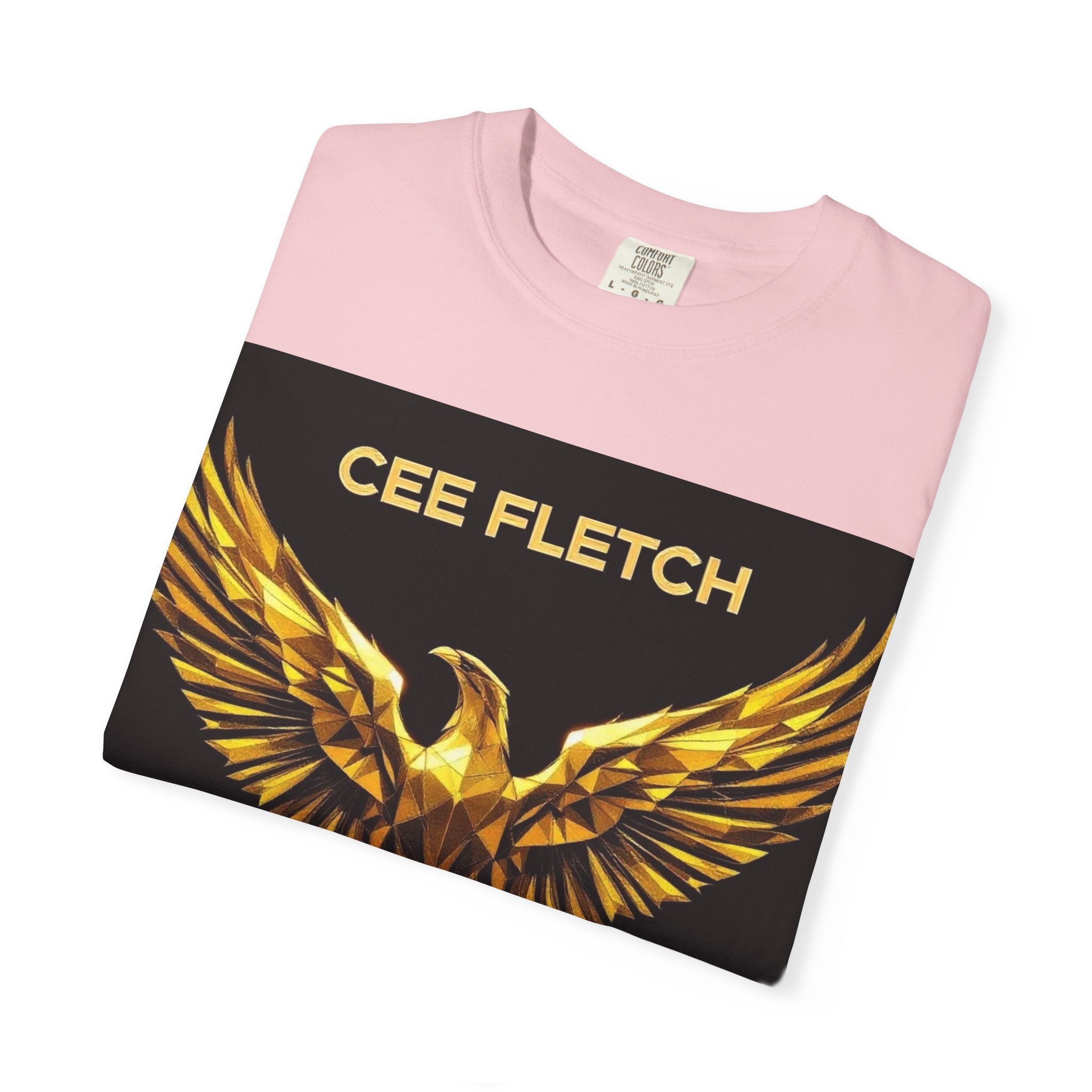 I Have a Dream Eagle T-Shirt — Cee Fletch Inspirational Graphic Tee
