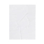 Velveteen Blanket — Gold Phoenix "I Have a Dream" Personalized Throw